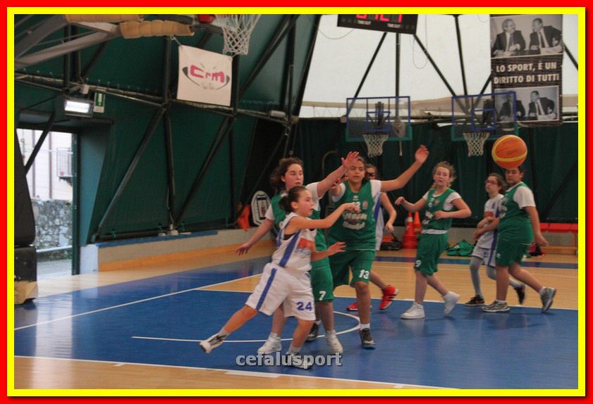 140301 GM_basket 220_tn.jpg